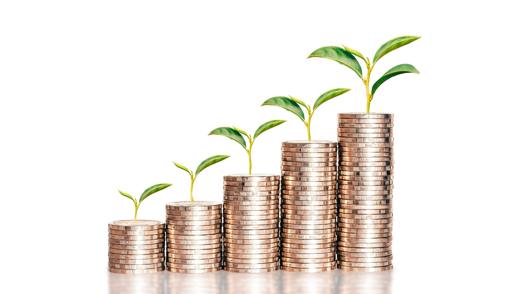 Seedlings growing from rising stacks of coins